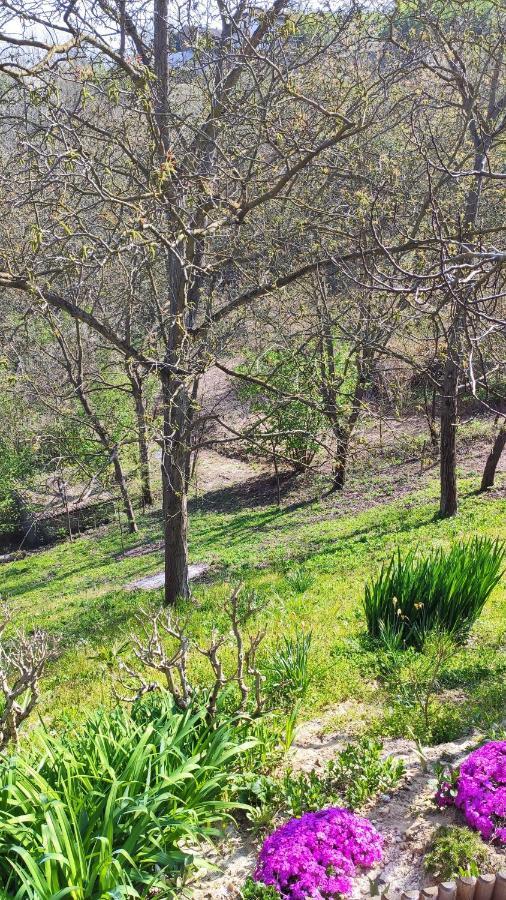 فيلا آستيفي Cascina Stella المظهر الخارجي الصورة